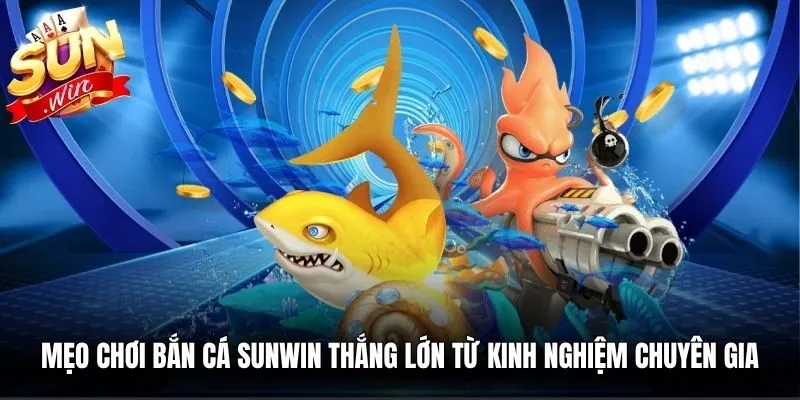 Mẹo chơi bắn cá Sunwin thắng lớn từ kinh nghiệm chuyên gia